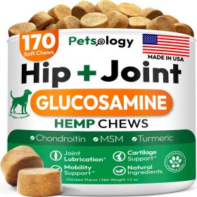 Hemp Hip and Joint Supplement for Dogs Glucosamine for Dogs 170 Mobility Support Chews Advanced Joint Pain Relief Treats with Chondroitin MSM Turmeric