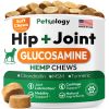 Hip Joint Supplement for Dogs Glucosamine MSM Chondroitin Natural Mobility Support Vet Recommended USA Made