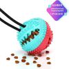 Bounce & Chew Dog Toy - Endless Fun for Your Furry Friend