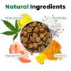 Hip Joint Supplement for Dogs Glucosamine MSM Chondroitin Natural Mobility Support Vet Recommended USA Made