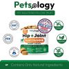 Hip Joint Supplement for Dogs Glucosamine MSM Chondroitin Natural Mobility Support Vet Recommended USA Made