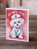 Maltese Get Well Soon Greeting Cards Pack of 8 Blank Cards with Envelopes Whimsical A7 Size 5x7 Blank Note Cards