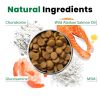 Glucosamine Chondroitin for Dogs Hip Joint Care MSM Turmeric Helps Mobility & Comfort Vet Developed Natural Ingredients