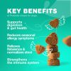 Probiotics for Dogs Support Gut Health Immunity Yeast Balance Itchy Skin Allergies Dog Probiotics and Digestive Enzymes Coprophagia Deterrent for Dogs