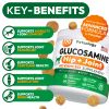 Glucosamine for Dogs Hip and Joint Supplement for Dogs 170 Mobility Chews Glucosamine Chondroitin MSM Turmeric Joint Pain Relief Advanced Support for