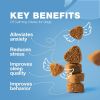 Hemp Calming Chews for Dogs Anxiety Relief Dog Calming Treats with Melatonin Chamomile Extract Valerian Root Travel Pack Anxiety Relief Chews for Vet