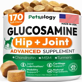 Glucosamine for Dogs Hip and Joint Supplement for Dogs 170 Mobility Chews Glucosamine Chondroitin MSM Turmeric Joint Pain Relief Advanced Support for