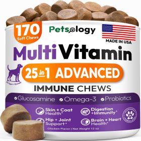 Dog Multivitamin Chewable Dog Vitamins and Supplements with Glucosamine 170 Chews Hip & Joint Pet Immune Support Skin & Coat Gut & Heart Health Senior