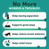 Hemp Calming Chews for Dogs Dog Anxiety Relief Treats with Hemp Oil Turmeric Valerian Ginger Health and Wellness Supplements for Dogs Hip and Joint Su