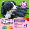 Prenatal Dog Vitamins Multivitamin for Dogs and Cats with Folic Acid Minerals and Amino Acids. Ideal for Pregnant Breast Feeding and Newborn Pets Seni